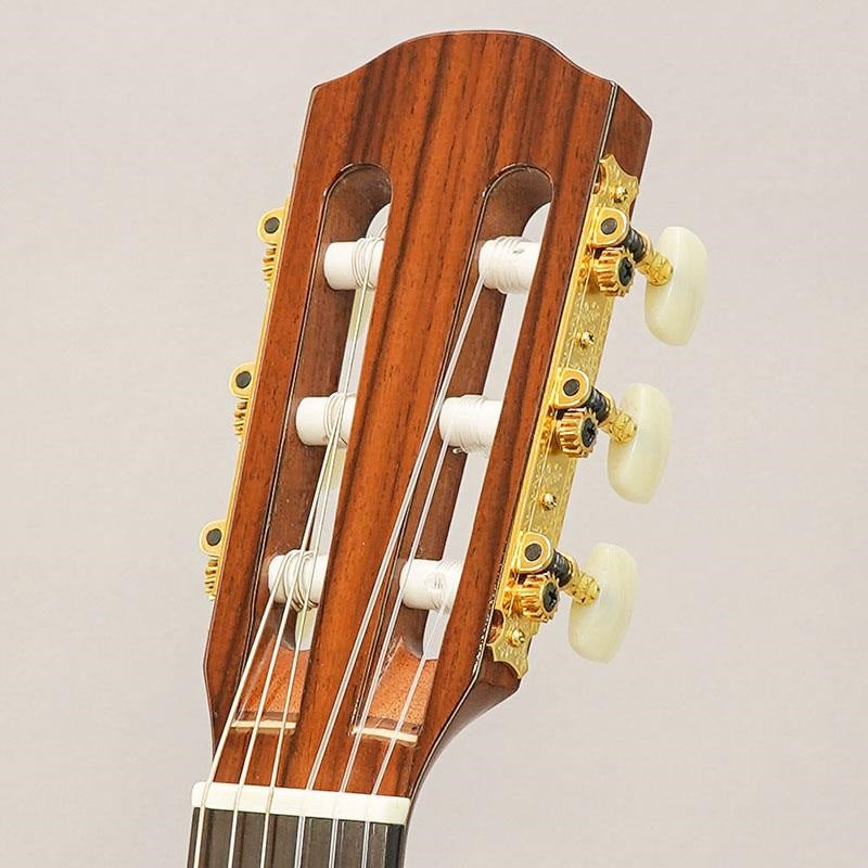 CTM_CE-3D_Select_Cedar_Top_~Ikebe_Original_Order_Model~_K_Yairi_11