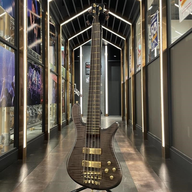 Custom_Shop_Streamer_Stage_I_5st_(Nirvana_Black_Transparent_Satin_Gold_Hardware)_02