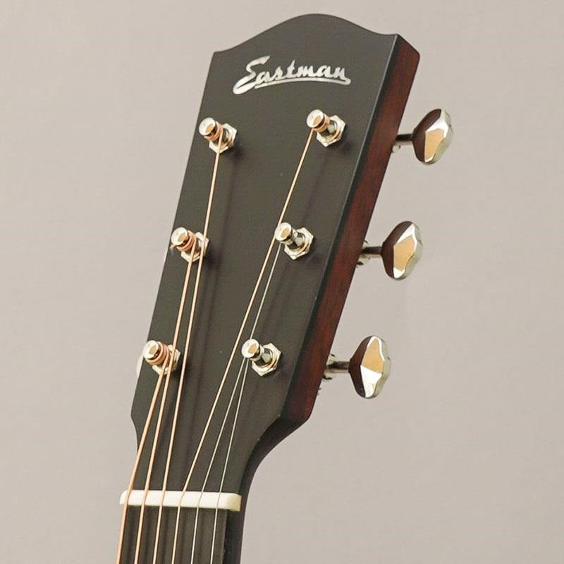 E10SS-TC_SB_Eastman_11