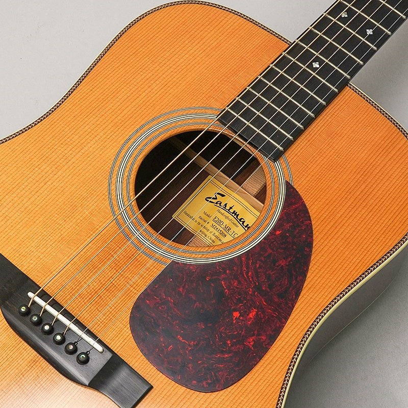 E20D-MR-TC_#M2435208_Eastman_09