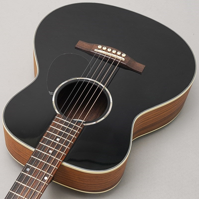 Eastman_Traveler_PCH2-TG-BK_05