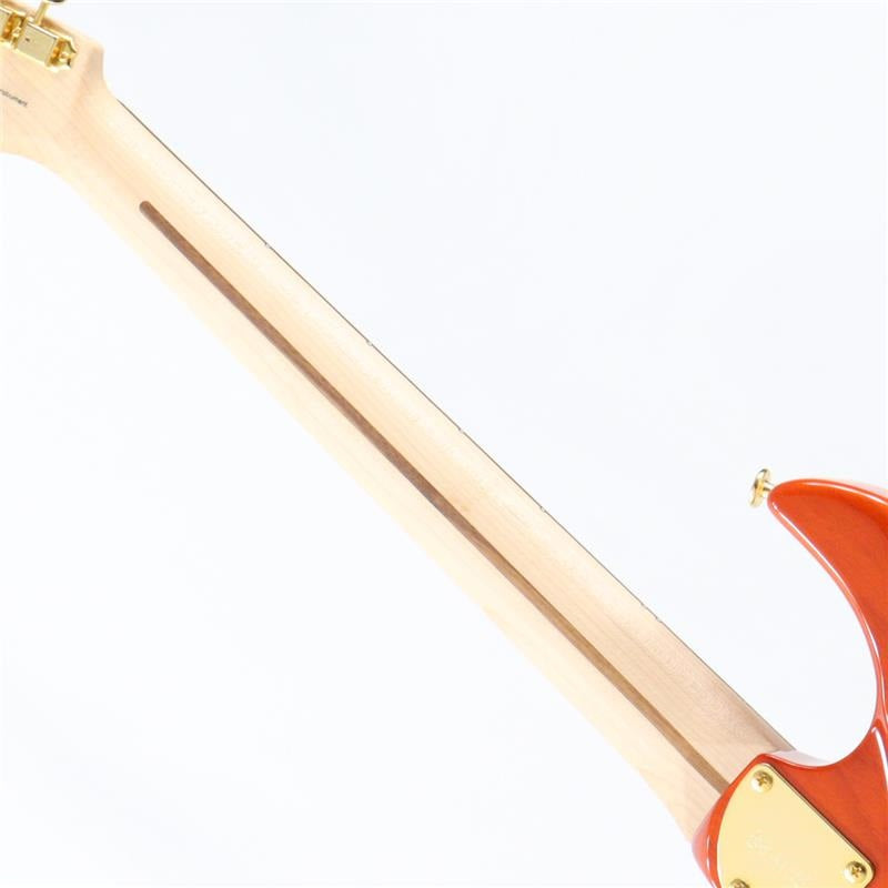 Expert_ODYSSEY_EOS2-FM-R_(Ripe_Kaki_Gradation)_07