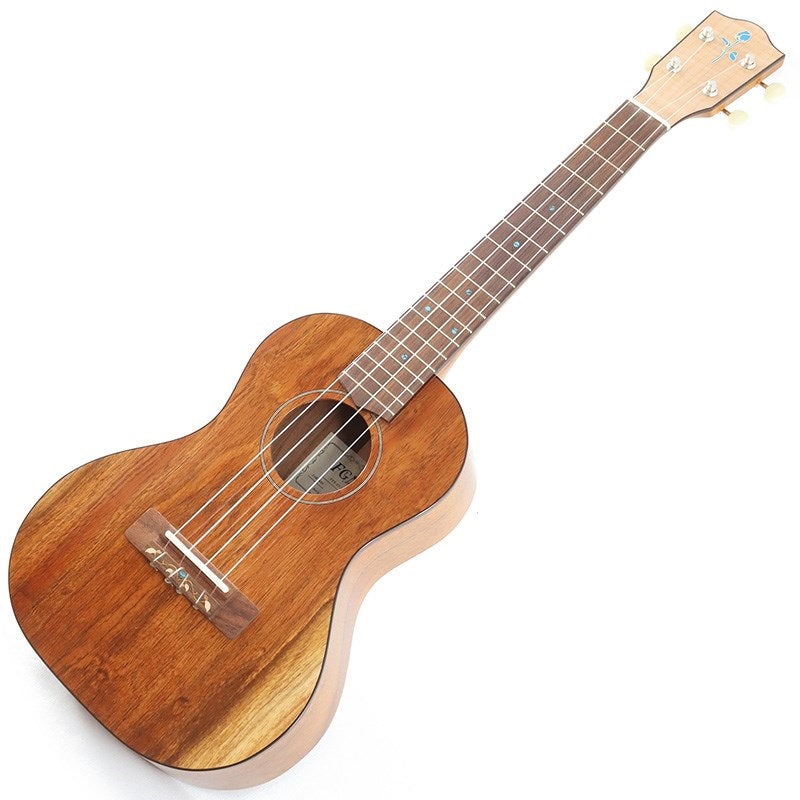 FGN_Acoustic_Tenor_FUS-TT_Fujigen_01