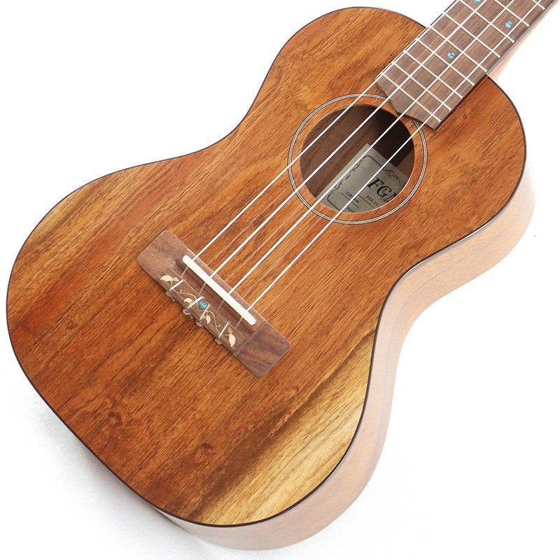 FGN_Acoustic_Tenor_FUS-TT_Fujigen_03