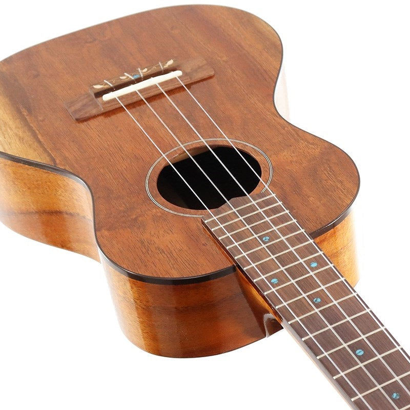 FGN_Acoustic_Tenor_FUS-TT_Fujigen_04