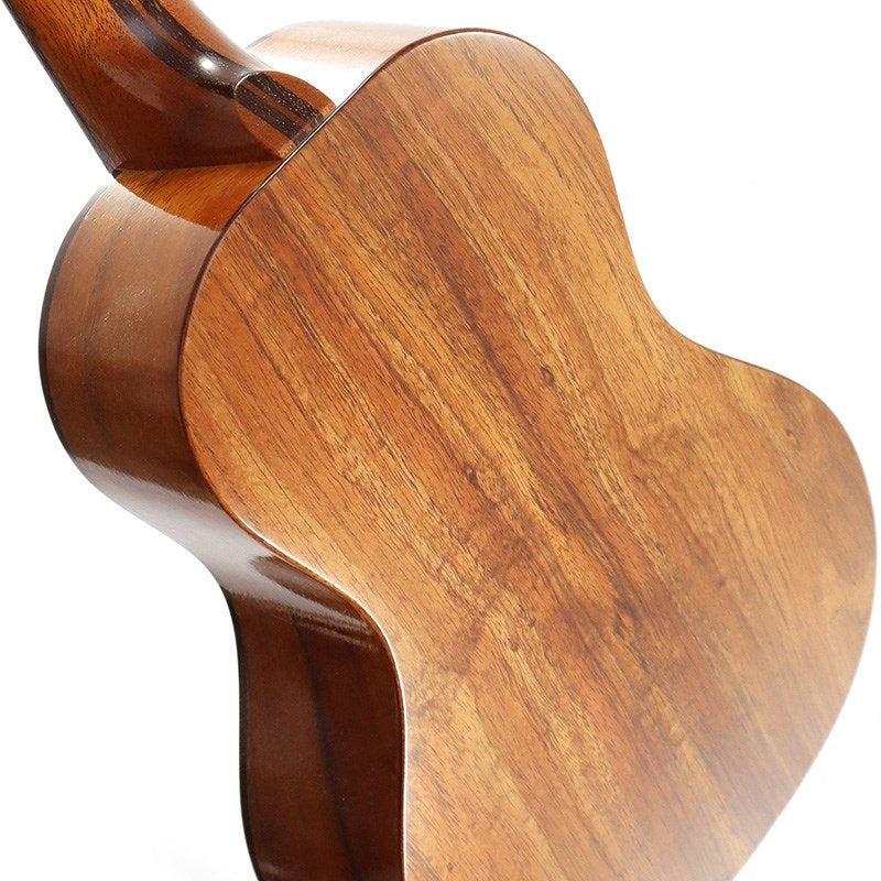 FGN_Acoustic_Tenor_FUS-TT_Fujigen_05