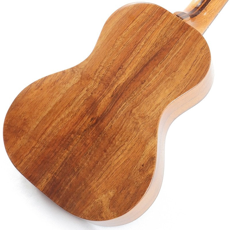 FGN_Acoustic_Tenor_FUS-TT_Fujigen_06