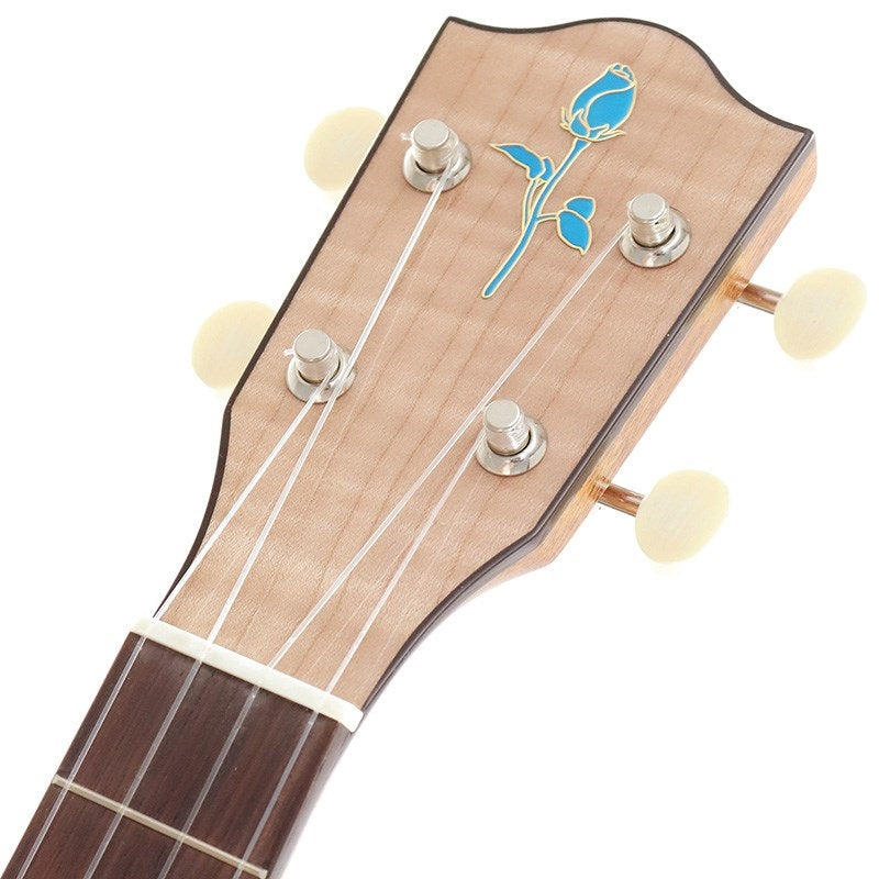 FGN_Acoustic_Tenor_FUS-TT_Fujigen_07