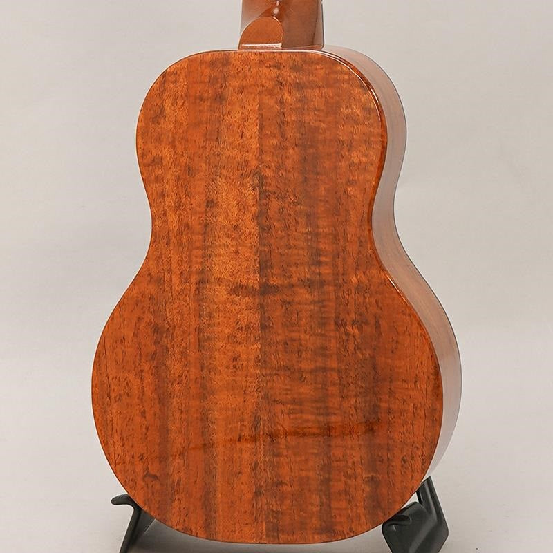 FUS-TC-02_Fujigen_04