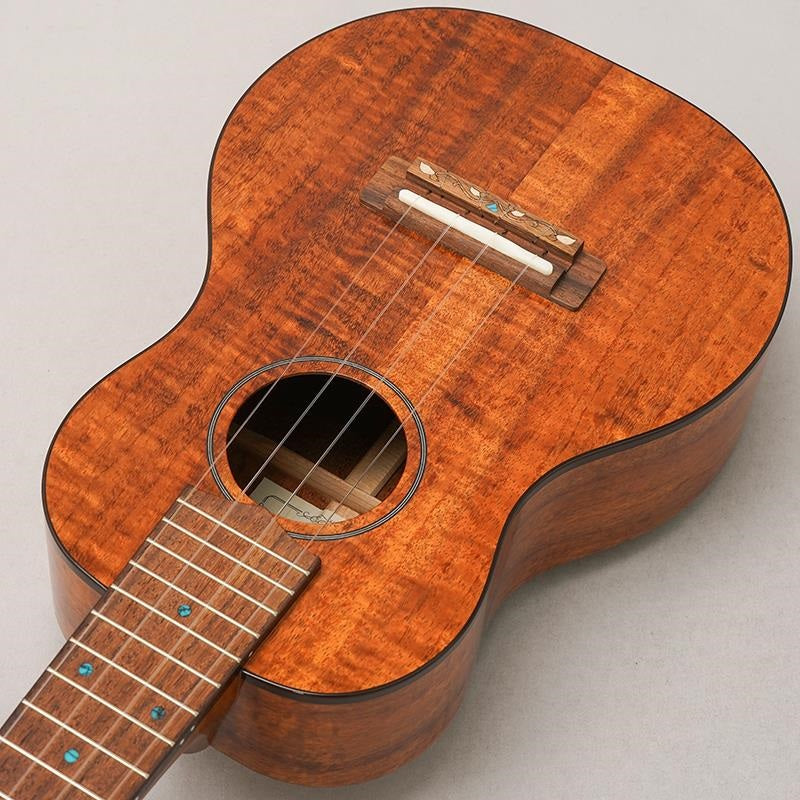 FUS-TC-02_Fujigen_05