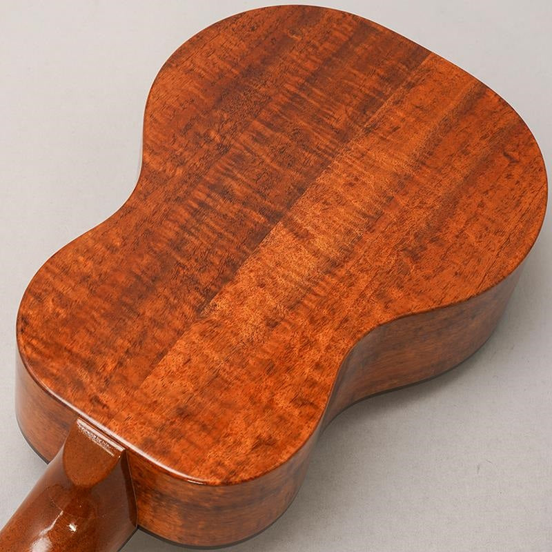 FUS-TC-02_Fujigen_06