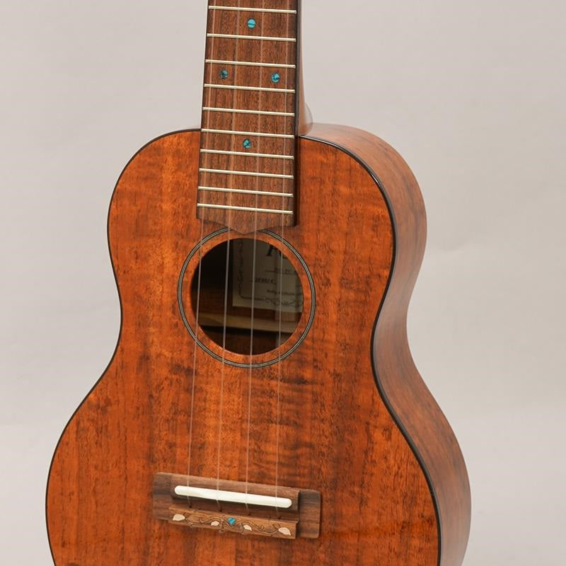 FUS-TC-02_Fujigen_07