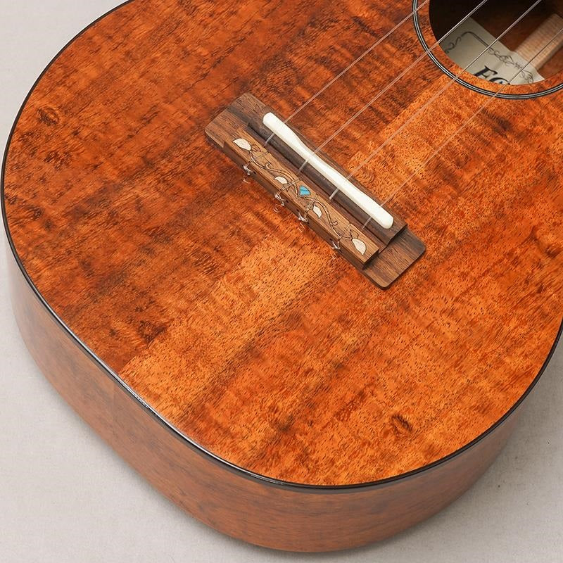 FUS-TC-02_Fujigen_08