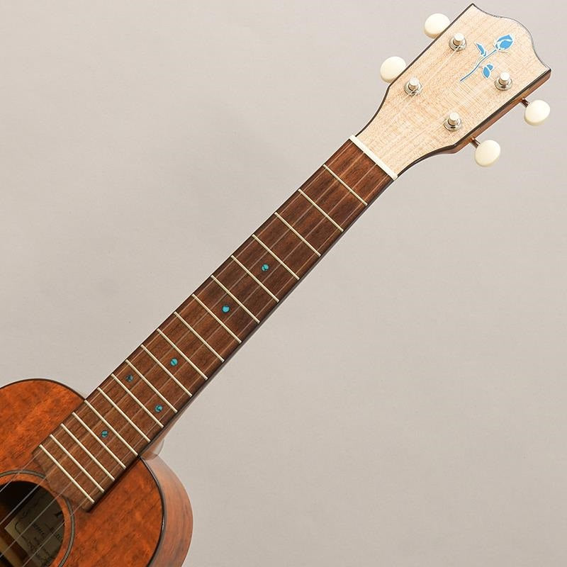 FUS-TC-02_Fujigen_09