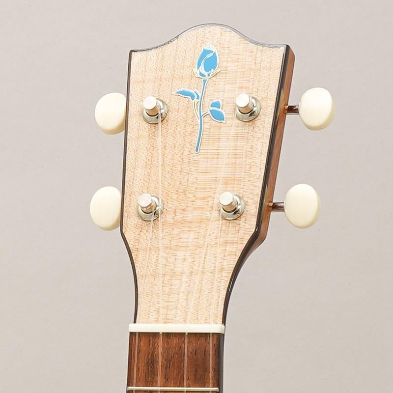 FUS-TC-02_Fujigen_11