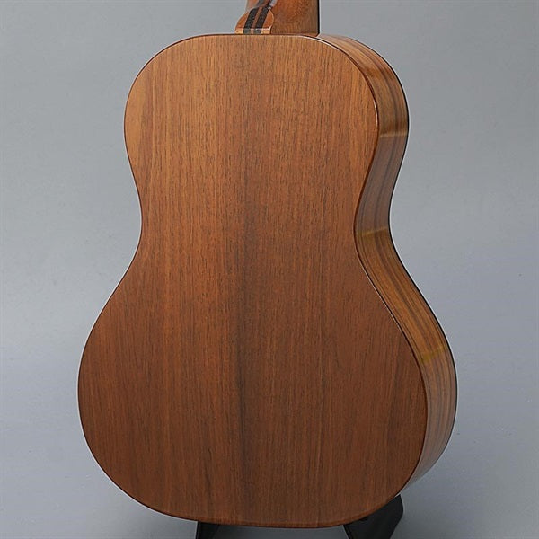 FUS-TT-03_Fujigen_02