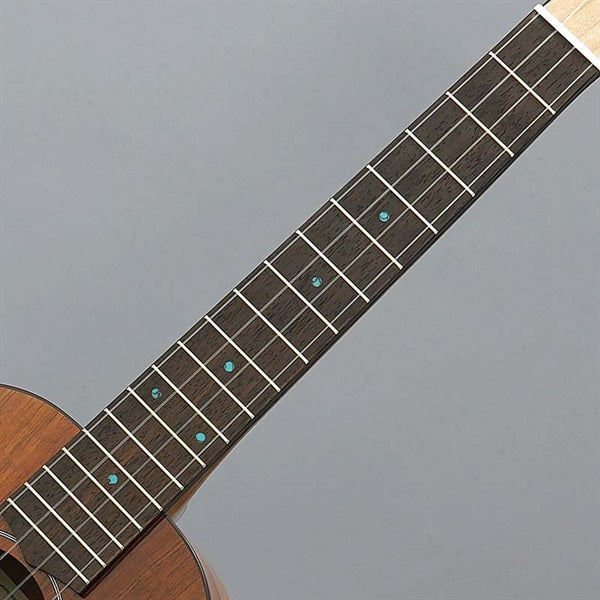 FUS-TT-03_Fujigen_07