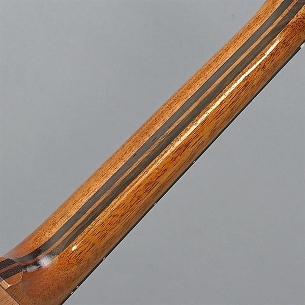 FUS-TT-03_Fujigen_08