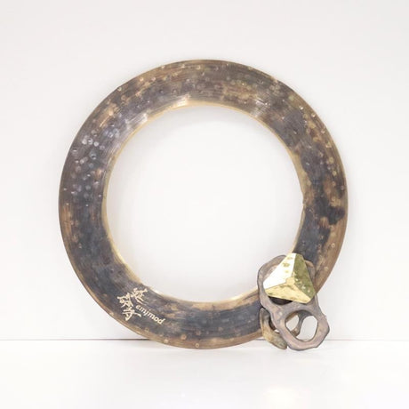 Fossil_Crasher___Ring_12''_01