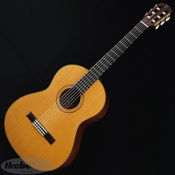 GF-7V_(NS)_K_Yairi_02