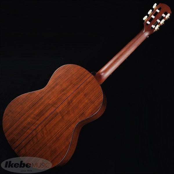 GF-7V_(NS)_K_Yairi_03