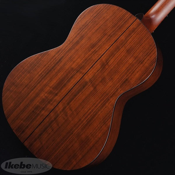 GF-7V_(NS)_K_Yairi_06