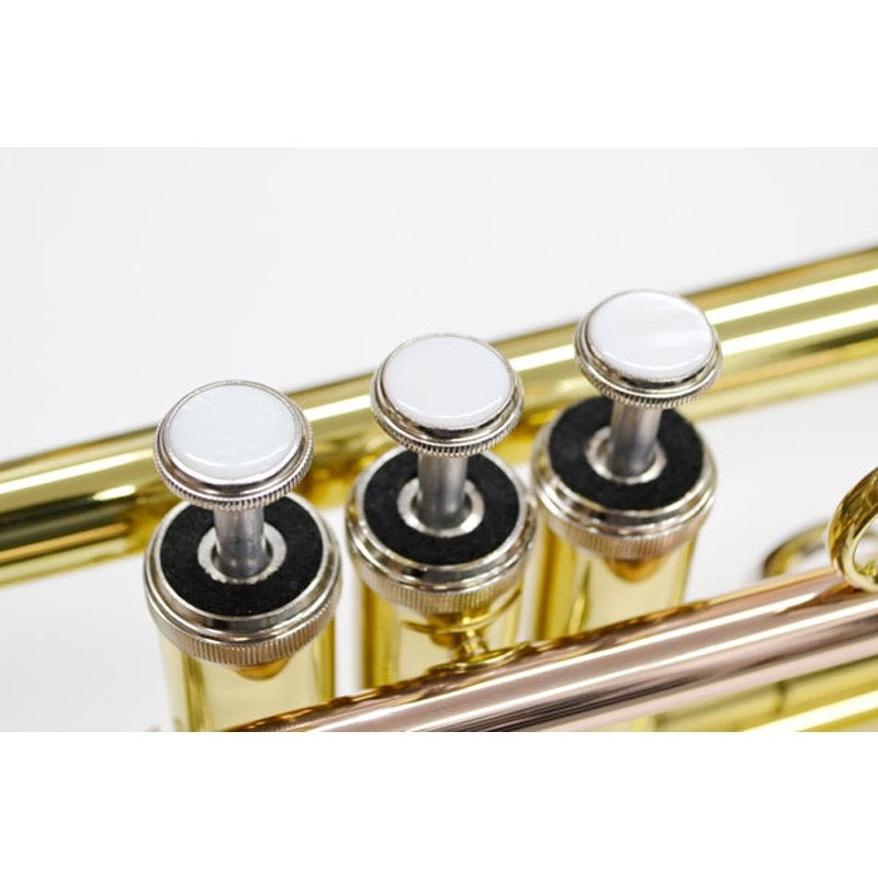 J__Michael_TR-380_Bb_Trumpet_(Pre-tuned_for_peace_of_mind)_08