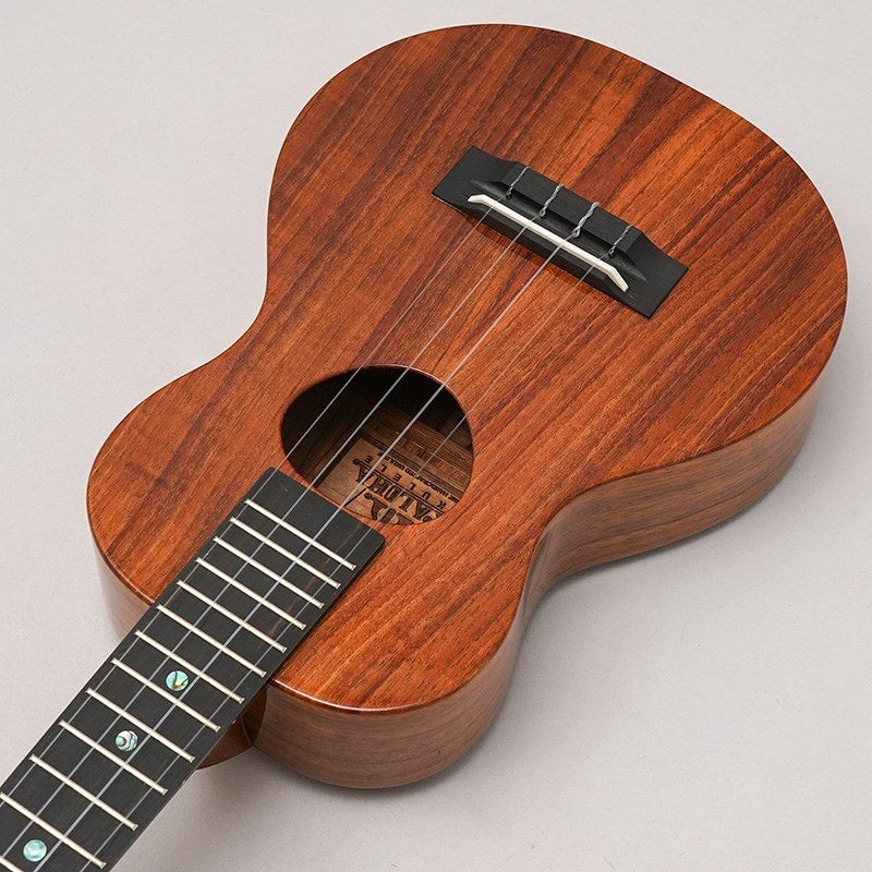 KCM-00_Concert_Gloss_KoAloha_05