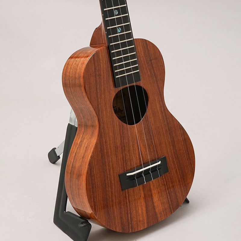 KCM-00_Concert_Gloss_KoAloha_07