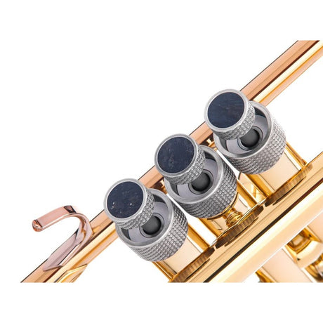 KGU_Brass_Trim_Kit_ARTISTIC_Series_Dragon_Silver_Brushed_Numeral_for_Bach_Trumpet_03