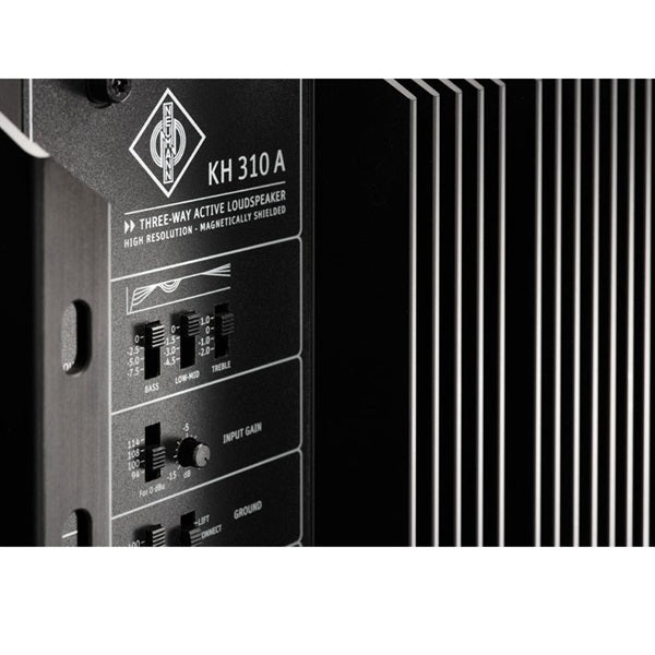 KH_310_ARG_(1_unit)_(Neumann)_(monitor_speaker)_04
