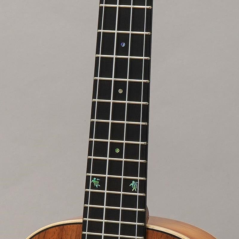 KM-CTG_Big_Island_09