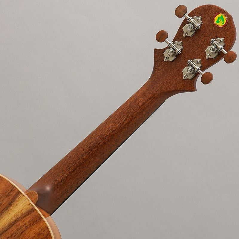 KM-CTG_Big_Island_11