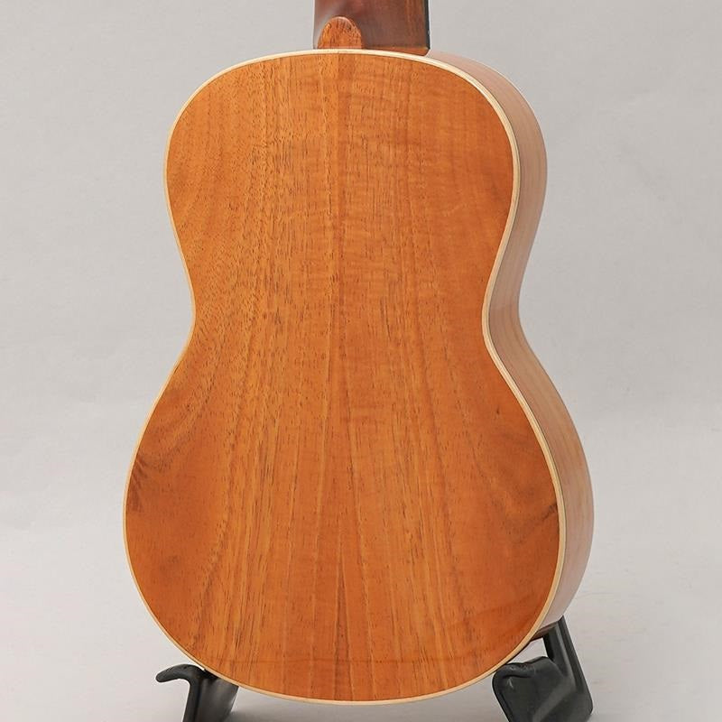 KM-SPG_Big_Island_04