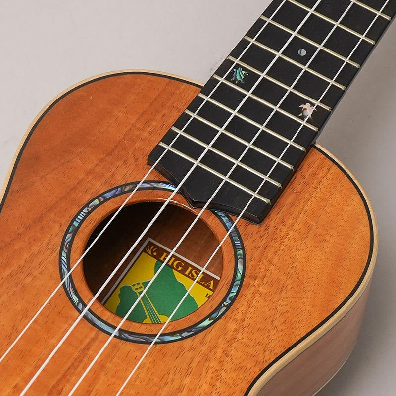 KM-SPG_Big_Island_07