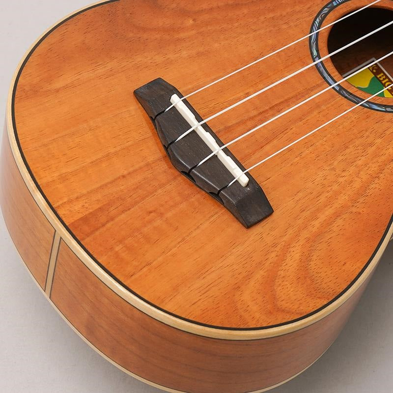 KM-SPG_Big_Island_08