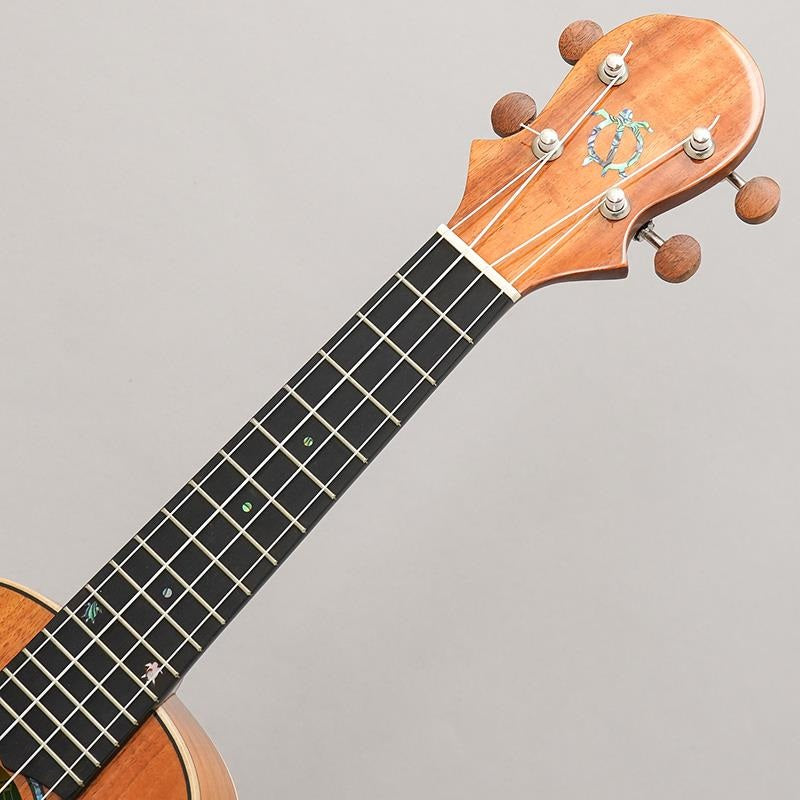 KM-SPG_Big_Island_09