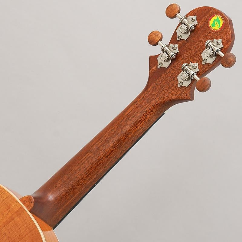 KM-SPG_Big_Island_10