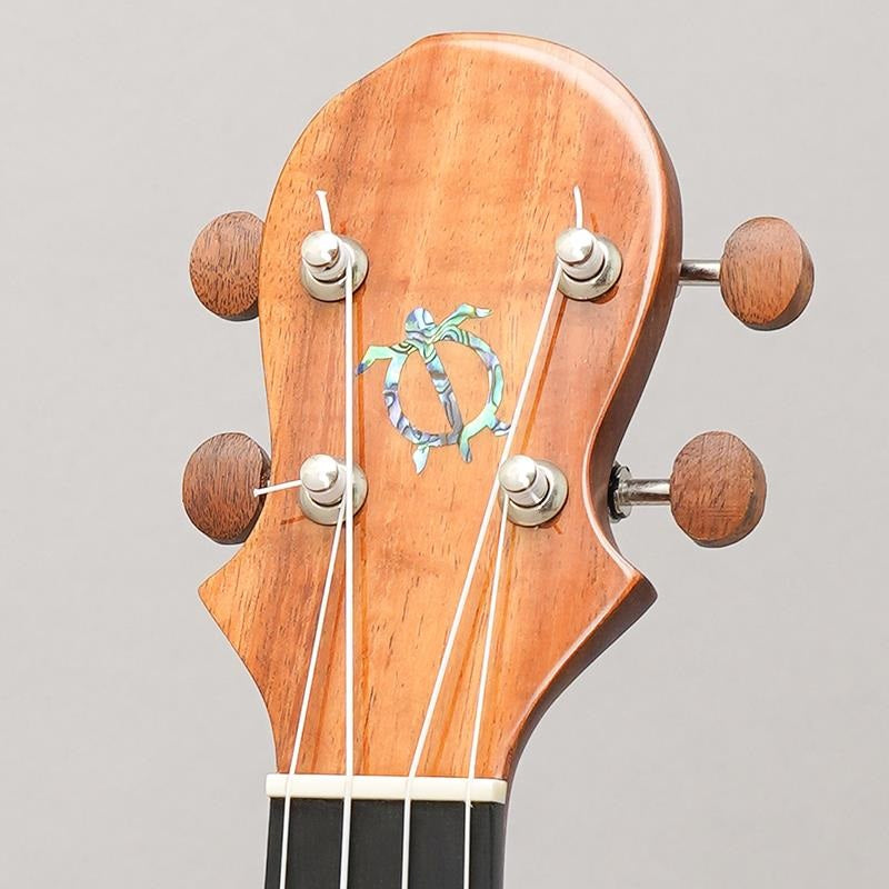 KM-SPG_Big_Island_11