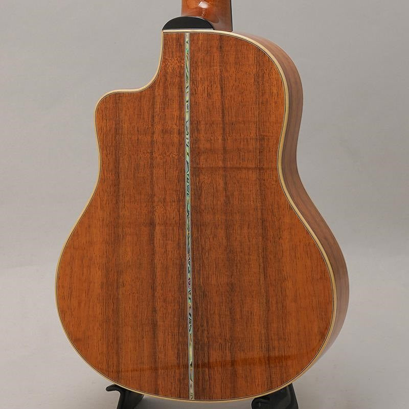 KSX-TRG_Big_Island_04