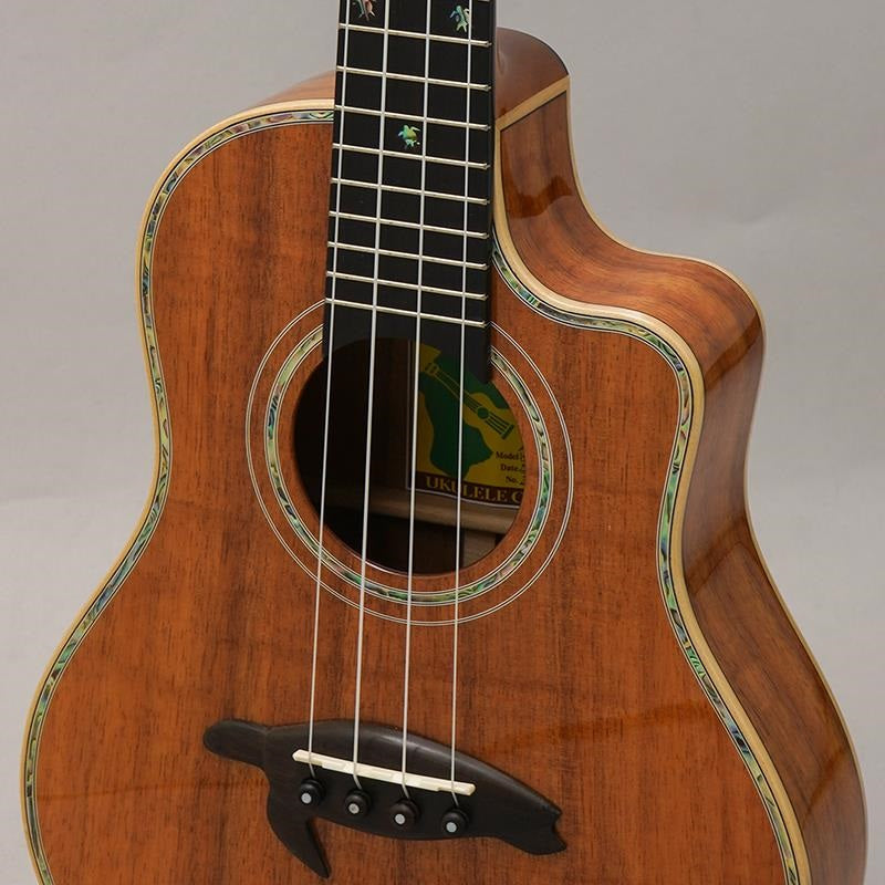 KSX-TRG_Big_Island_07