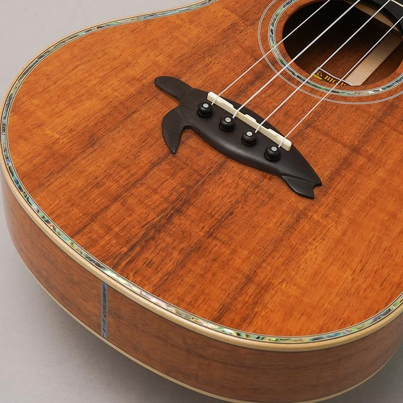 KSX-TRG_Big_Island_08