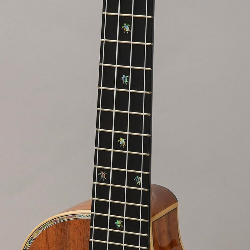 KSX-TRG_Big_Island_09