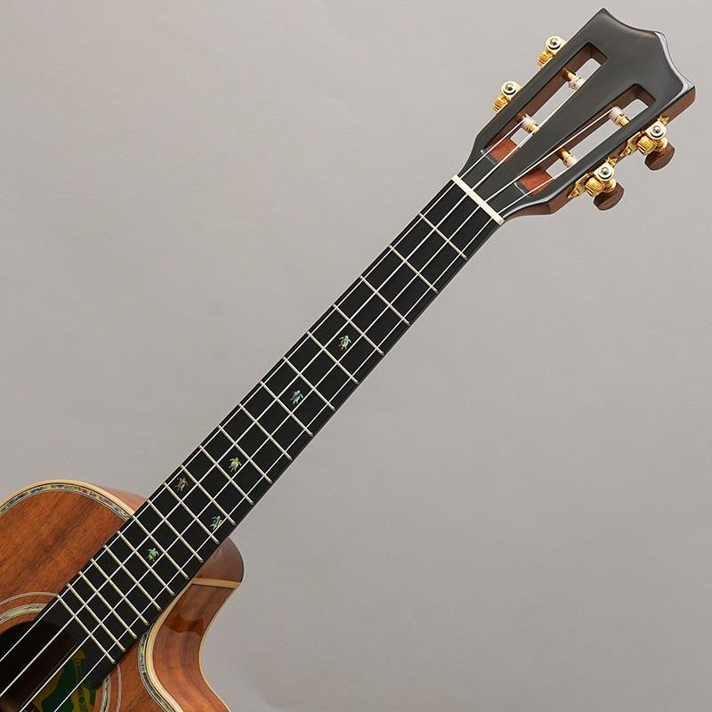 KSX-TRG_Big_Island_10