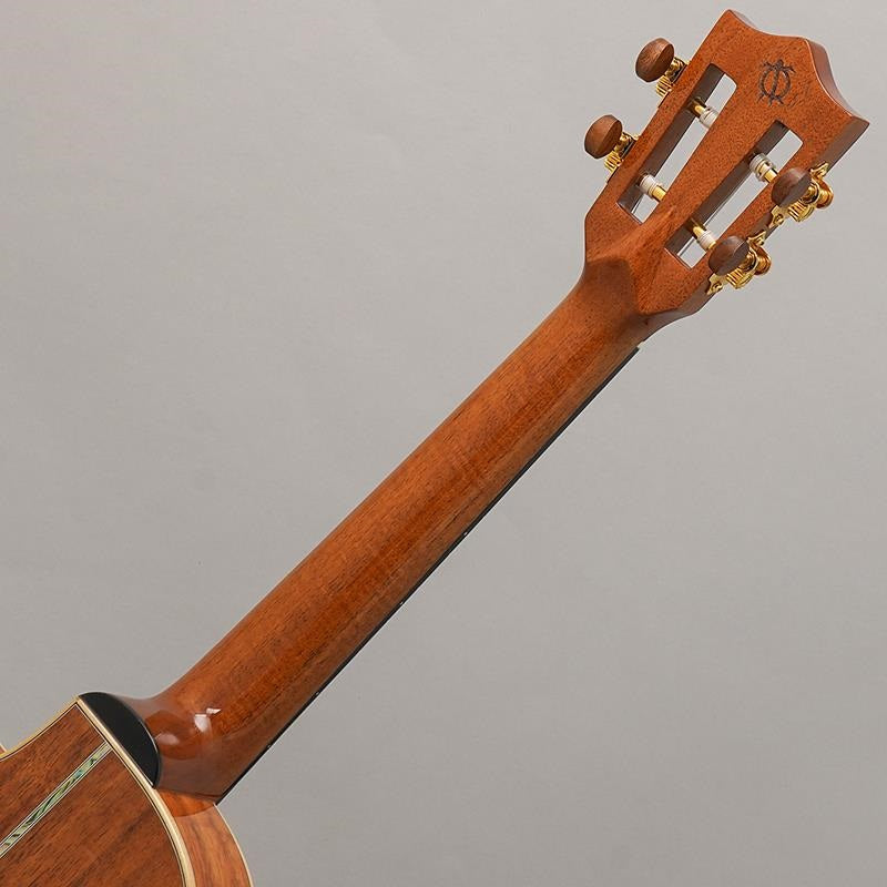 KSX-TRG_Big_Island_11