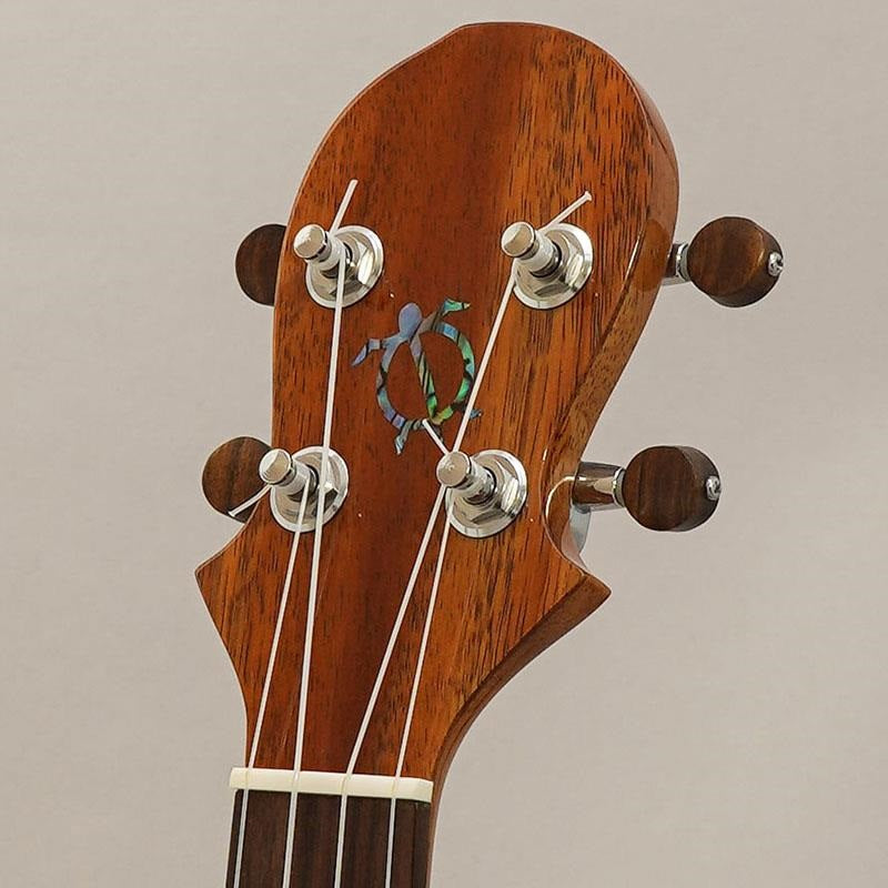 KT-CTS_Big_Island_11