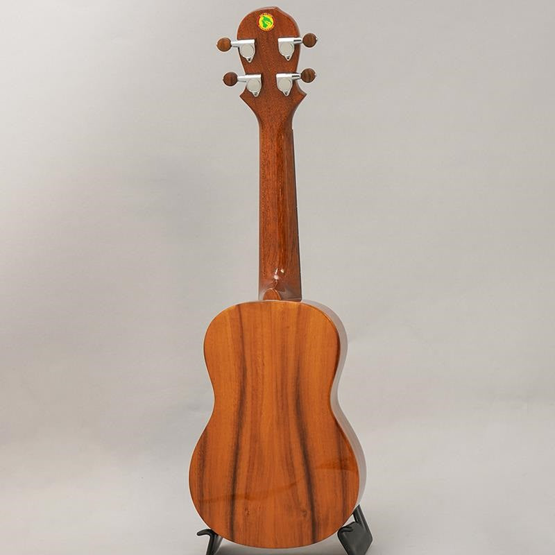 KT-SPS_Big_Island_02