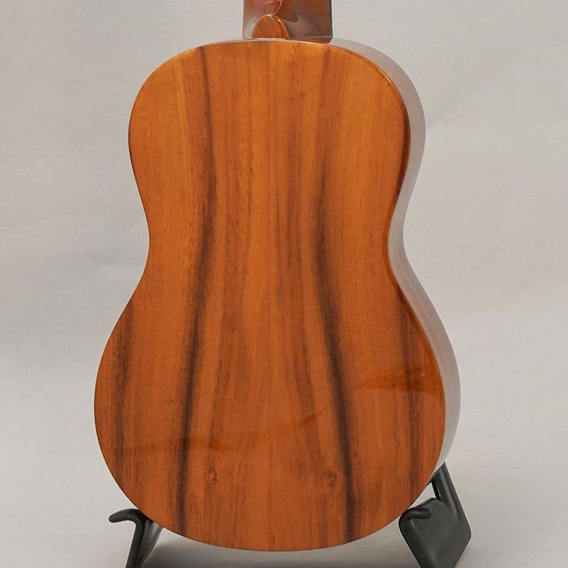 KT-SPS_Big_Island_04