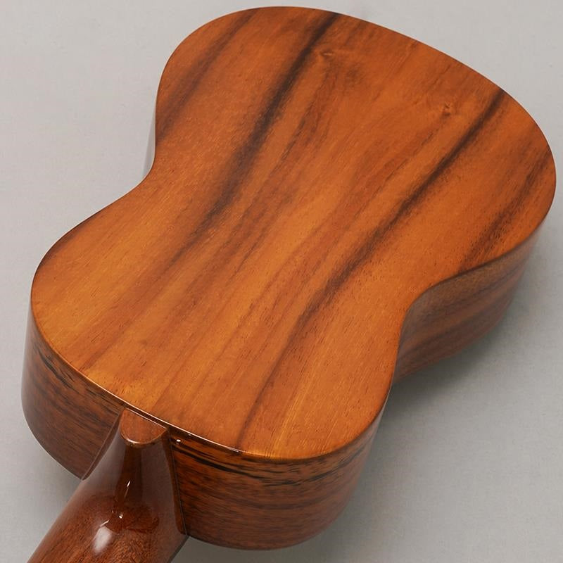 KT-SPS_Big_Island_06