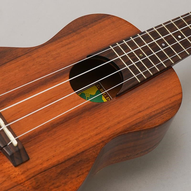 KT-SPS_Big_Island_07